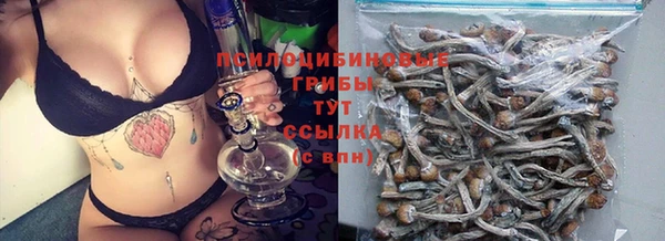 ешки Алзамай