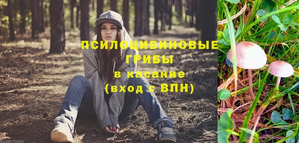 таблы Алексин