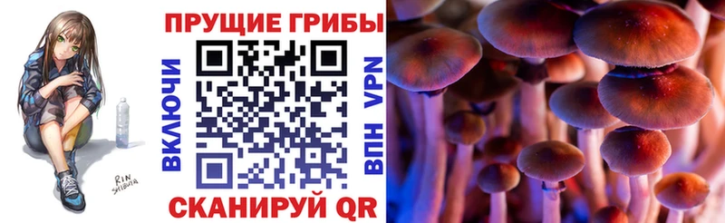 Галлюциногенные грибы мицелий  Алексеевка 